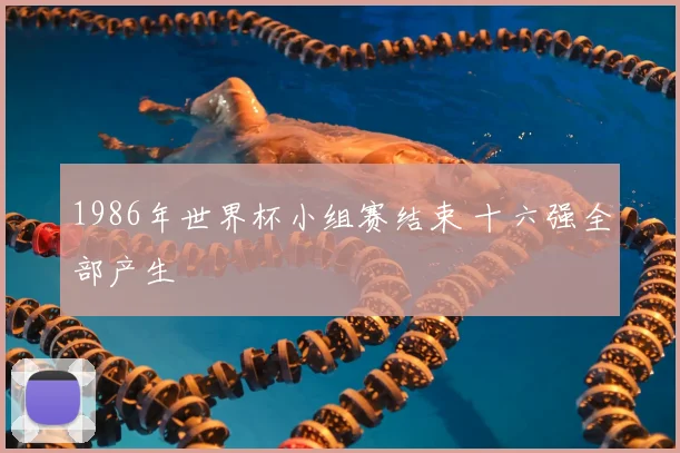 1986年世界杯小组赛结束 十六强全部产生