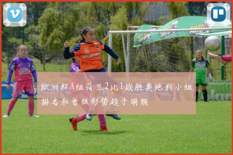 欧洲杯A组荷兰2比1战胜奥地利小组排名和晋级形势趋于明朗