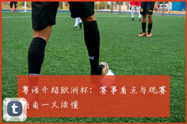 粤语介绍欧洲杯：赛事看点与观赛指南一文读懂