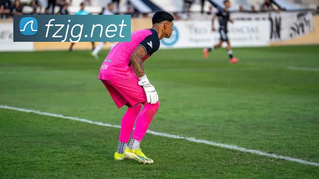 App Interface Preview