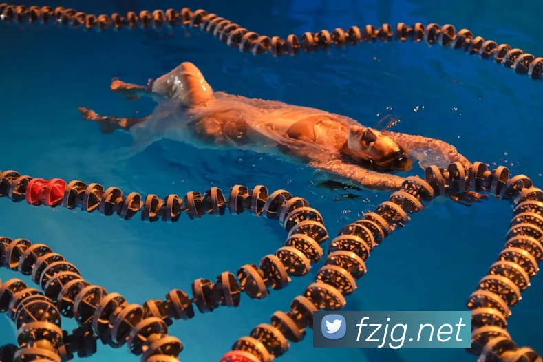 星空体育在线登录官网APP 封面图